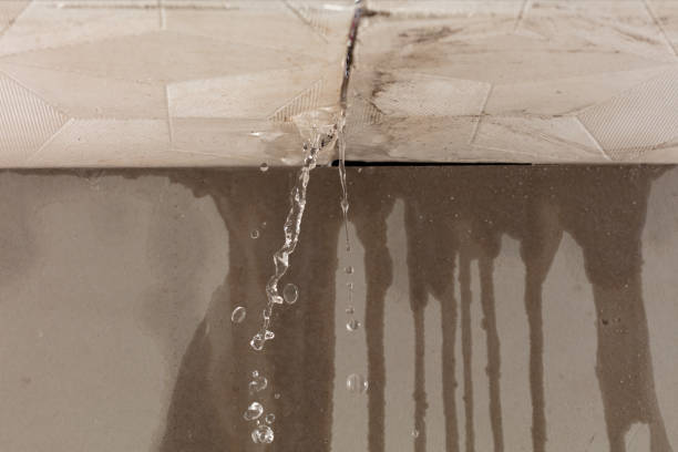Professional Structural Drying technician working in Stover, MO
